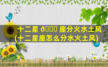 十二星 🐒 座分火水土风(十二星座怎么分水火土风)